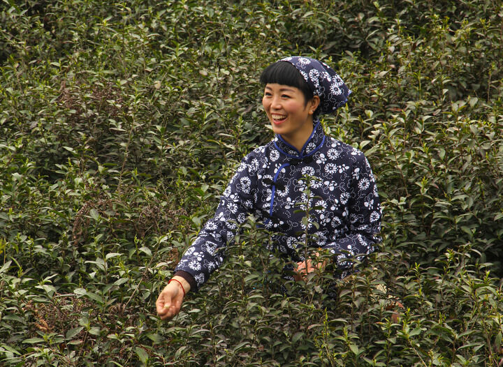 95网主播 罪恶之夜
